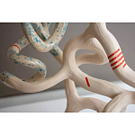 Скульптура «Papañca» варинант исполнения - 3 | Loft Concept в Барнауле