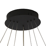 Люстра светодиодная с 3-мя плафонами в форме колец из акрила и алюминия с пультом для регулировки света Ring Horizontal Anthracite варинант исполнения - 5 | Loft Concept в Барнауле