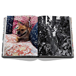 Книга подарочная Смелый бразильский стиль Сиг Бергамина Assouline Maximalism by Sig Bergamin варинант исполнения - 9 | Loft Concept в Барнауле