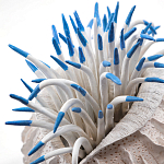 Статуэтка тропический фрукт Tropical Fruit White Blue варинант исполнения - 1 | Loft Concept в Барнауле