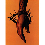 Подарочная книга величайший фотограф Альберт Уотсон The Vienna album Albert Watson варинант исполнения - 4 | Loft Concept в Барнауле