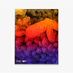 Редкое подарочное издание Yayoi Kusama: 1945 to Now варинант исполнения - 3 | Loft Concept в Барнауле