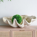 Блюдо декоративное в виде ракушки Seashell варинант исполнения - 3 | Loft Concept в Барнауле