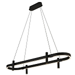 Люстра подвесная овальная черная  Black Light Fixtures варинант исполнения - 1 | Loft Concept в Барнауле
