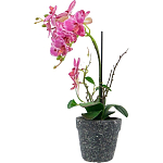 Декоративный искусственное растение Pink orchid варинант исполнения - 4 | Loft Concept в Барнауле