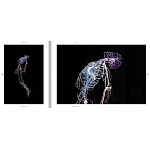 Монография художника Tavares Strachan - There is Light Somewhere варинант исполнения - 6 | Loft Concept в Барнауле