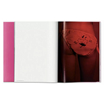 Книга Gisele Bundchen варинант исполнения - 7 | Loft Concept в Барнауле