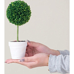 Декоративный искусственное растение Boxwood One варинант исполнения - 6 | Loft Concept в Барнауле