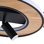 Потолочный светильник круглый GAVIN WOOD варинант исполнения - 2 | Loft Concept в Барнауле