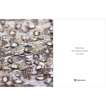 Книга Maison Lesage: Haute Couture Embroidery Mauries Patrick варинант исполнения - 11 | Loft Concept в Барнауле