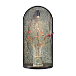 Настенный светильник зеленого цвета с черной рамкой овальной формы с полкой Herbarium  варинант исполнения - 6 | Loft Concept в Барнауле