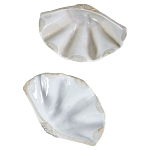 Фигурка из фарфора в виде одной створки ракушки Marine Tridacna варинант исполнения - 3 | Loft Concept в Барнауле