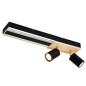 Потолочный светильник черный GAVIN WOOD