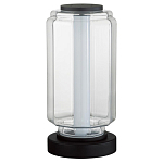 Настольная лампа с прозрачным плафоном Jarrty варинант исполнения - 1 | Loft Concept в Барнауле