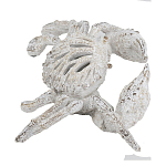 Статуэтка краб с детализированной текстурой в белом цвете Marine Accessories варинант исполнения - 4 | Loft Concept в Барнауле