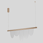 Люстра подвесная с пятью прозрачными элементами в форме лепестков и золотистым металлическим основанием DALI Tonin Casa варинант исполнения - 2 | Loft Concept в Барнауле