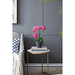 Декоративный искусственное растение Pink orchid варинант исполнения - 8 | Loft Concept в Барнауле