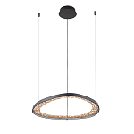 Люстра светодиодная  Iris варинант исполнения - 2 | Loft Concept в Барнауле