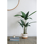 Декоративный искусственное растение Decor Stile  варинант исполнения - 7 | Loft Concept в Барнауле