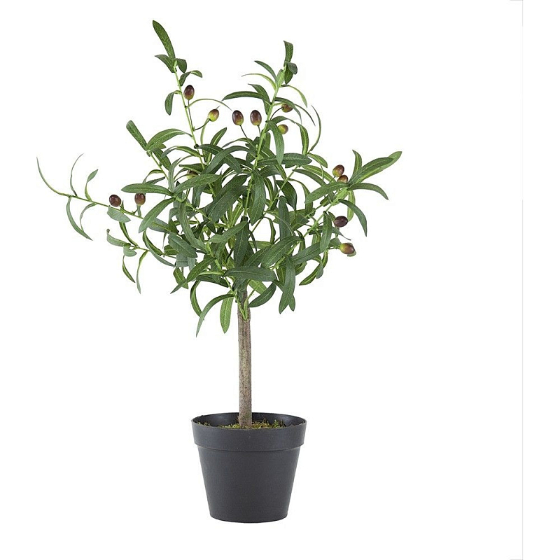 Декоративный искусственное растение Olive tree with fruits Зеленый Черный Коричневый Декоративный искусственное растение Olive tree with fruits Зеленый Черный Коричневый в Барнауле | Loft Concept