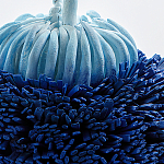 Статуэтка Синий тропический фрукт Tropical Fruit Pandora 1 варинант исполнения - 4 | Loft Concept в Барнауле