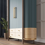 Шкаф «Гавайи» варинант исполнения - 2 | Loft Concept в Барнауле