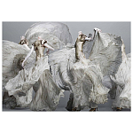 Alexander McQueen: Savage Beauty варинант исполнения - 2 | Loft Concept в Барнауле