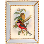 Постер с изображением птиц и цветов в зеркальной раме Blooming Birds Poster варинант исполнения - 7 | Loft Concept в Барнауле