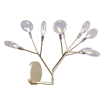 Бра в виде ветвей с прозрачными круглыми плафонами Moooi варинант исполнения - 1 | Loft Concept в Барнауле