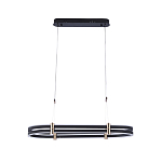 Люстра светодиодная в форме овала из акрила и алюминия с пультом для регулировки света Ring Horizontal Anthracite варинант исполнения - 1 | Loft Concept в Барнауле