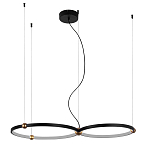 Люстра подвесная светодиодная черный металл Ring Horizontal варинант исполнения - 9 | Loft Concept в Барнауле