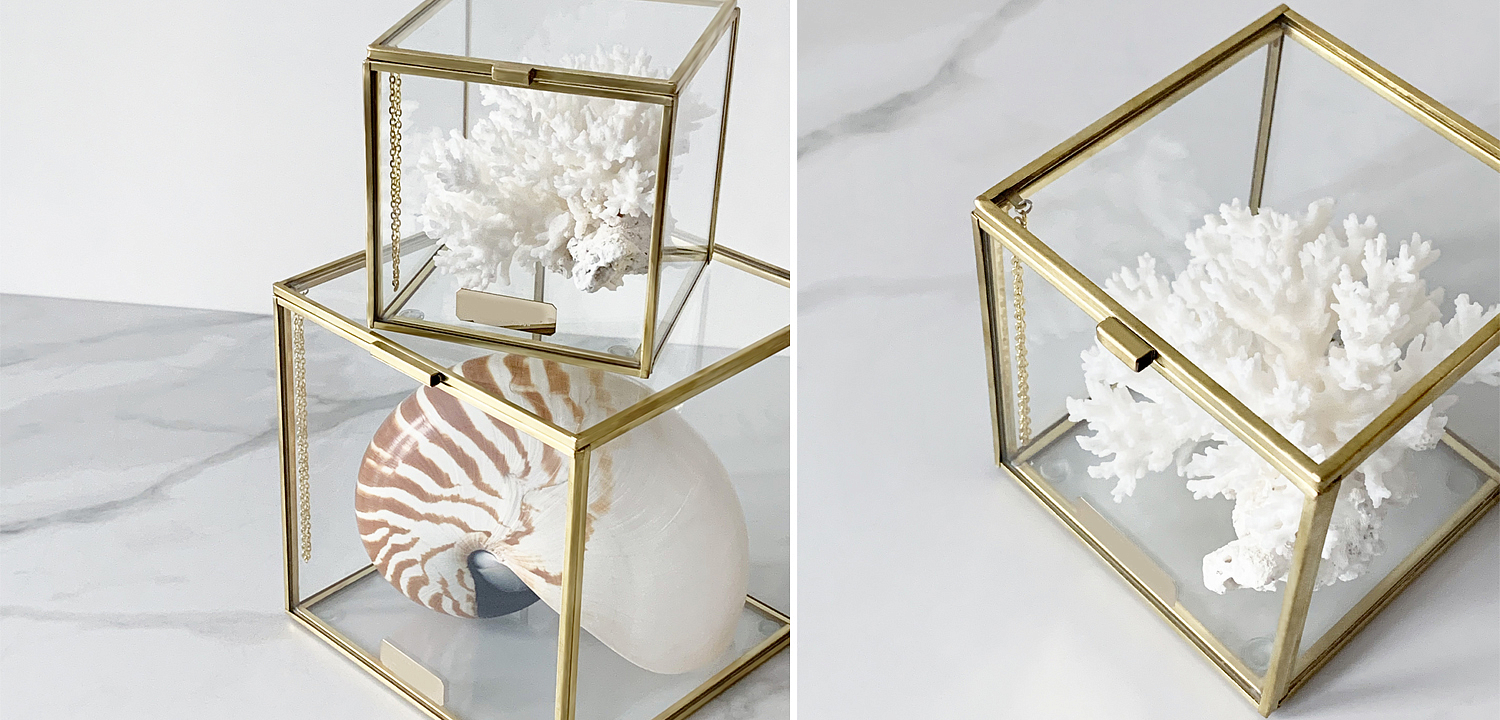 Статуэтка Natural Coral Glass Box S Статуэтка Natural Coral Glass Box S - Loft-Concept в Барнауле