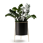 Кашпо из металла и латуни Elegance Elevated Planters черное варинант исполнения - 3 | Loft Concept в Барнауле
