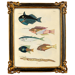 Постер в багетной раме Seabed Print 4