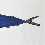 Плитка с узором Рыба пловчиха варинант исполнения - 6 | Loft Concept в Барнауле