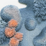 Тканый вручную Большой абстрактный гобелен Frost Forest варинант исполнения - 1 | Loft Concept в Барнауле