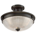 Потолочный светильник со стеклянным плафоном в виде купола Quoizel варинант исполнения - 8 | Loft Concept в Барнауле