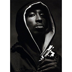 Подарочная книга величайший фотограф Альберт Уотсон The Vienna album Albert Watson варинант исполнения - 2 | Loft Concept в Барнауле