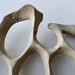 Блюдо «Бежевый коралл» варинант исполнения - 3 | Loft Concept в Барнауле