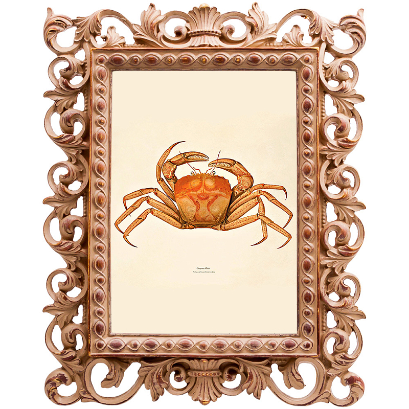 Постер Ocher Crab Poster Бежевый Оранжевый Постер Ocher Crab Poster Бежевый Оранжевый в Барнауле | Loft Concept