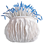 Статуэтка тропический фрукт Tropical Fruit White Blue варинант исполнения - 3 | Loft Concept в Барнауле