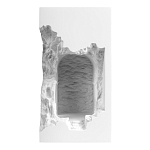 Встраиваемый в стену гипсовый светильник под покраску с эффектом разрушенной стены Antiquity Athena варинант исполнения - 2 | Loft Concept в Барнауле