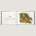 Лимитированная подарочная книга HERMES Fierce and Fragile book, English version варинант исполнения - 3 | Loft Concept в Барнауле