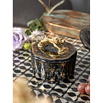 Шкатулка черного цвета с крышкой с фигуркой льва Eden Garden варинант исполнения - 6 | Loft Concept в Барнауле