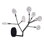 Бра в виде ветвей с прозрачными круглыми плафонами Moooi варинант исполнения - 2 | Loft Concept в Барнауле