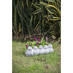 Кашпо Canaries варинант исполнения - 6 | Loft Concept в Барнауле