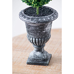 Декоративный искусственное растение Double boxwood варинант исполнения - 7 | Loft Concept в Барнауле