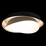 Потолочный светильник круглый черного цвета из металла Vita Cuna варинант исполнения - 1 | Loft Concept в Барнауле