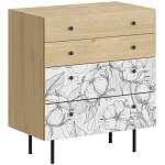 Комод с принтом на ящиках Elise Chest of Drawers варинант исполнения - 14 | Loft Concept в Барнауле