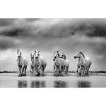 Книга Beusker. Look into my Eyes варинант исполнения - 4 | Loft Concept в Барнауле